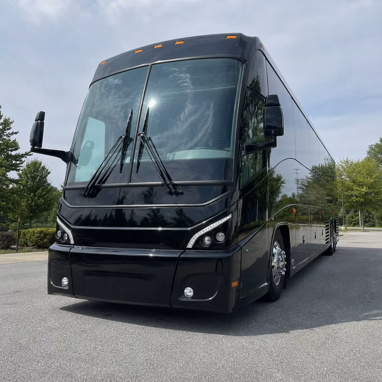 charter buses and minibuses for bronx zoo field trips