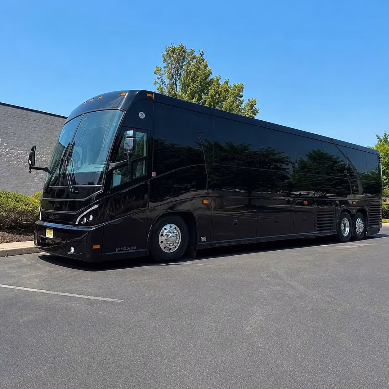 long distance bus trips from the bronx to washington d c boston and beyond